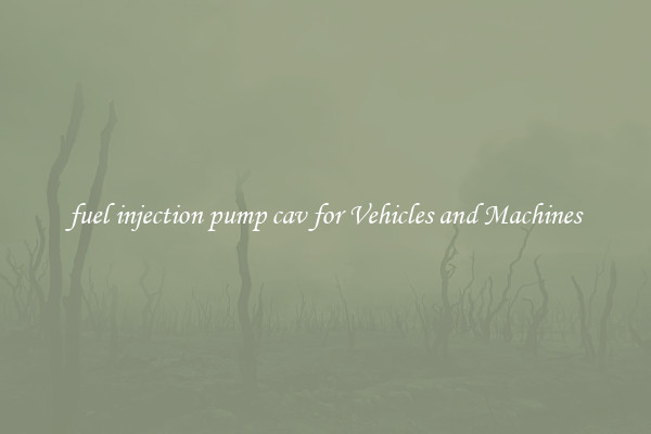 fuel injection pump cav for Vehicles and Machines