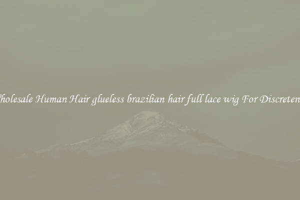 Wholesale Human Hair glueless brazilian hair full lace wig For Discreteness