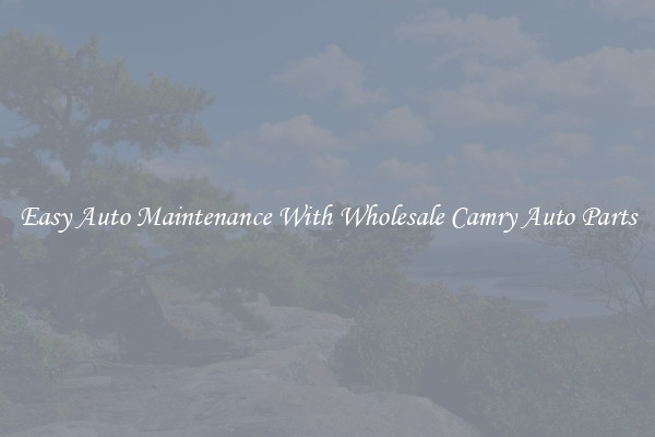 Easy Auto Maintenance With Wholesale Camry Auto Parts