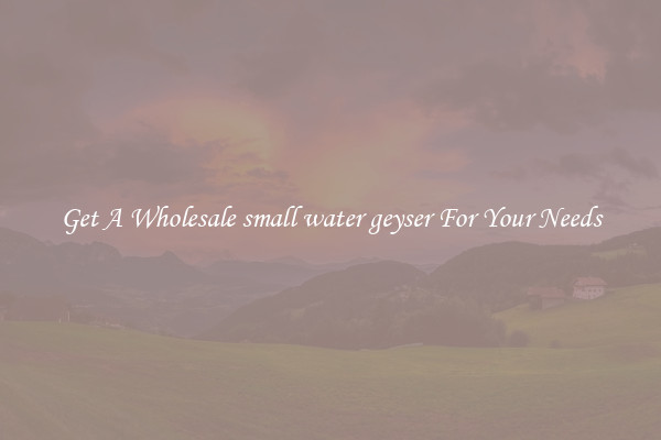 Get A Wholesale small water geyser For Your Needs