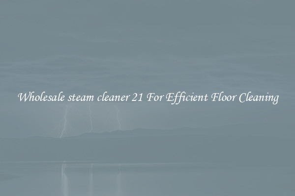 Wholesale steam cleaner 21 For Efficient Floor Cleaning