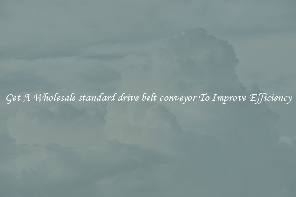 Get A Wholesale standard drive belt conveyor To Improve Efficiency