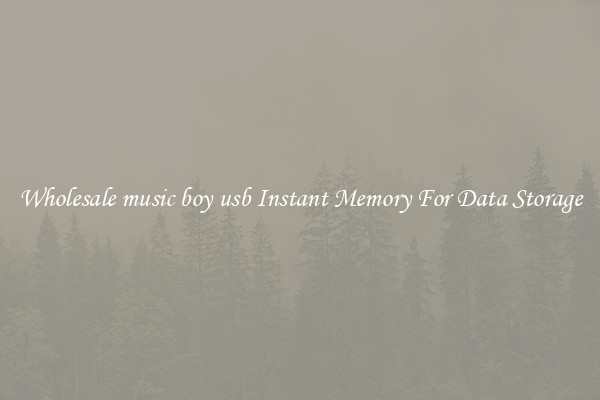 Wholesale music boy usb Instant Memory For Data Storage