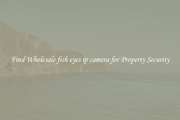 Find Wholesale fish eyes ip camera for Property Security