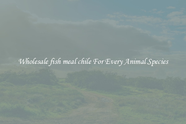 Wholesale fish meal chile For Every Animal Species