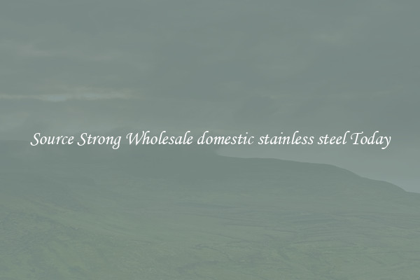 Source Strong Wholesale domestic stainless steel Today