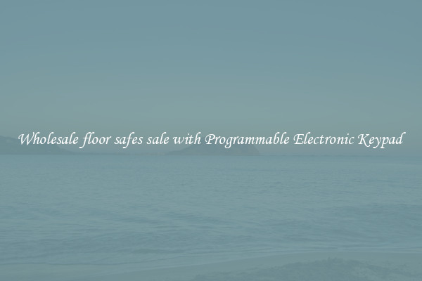Wholesale floor safes sale with Programmable Electronic Keypad 