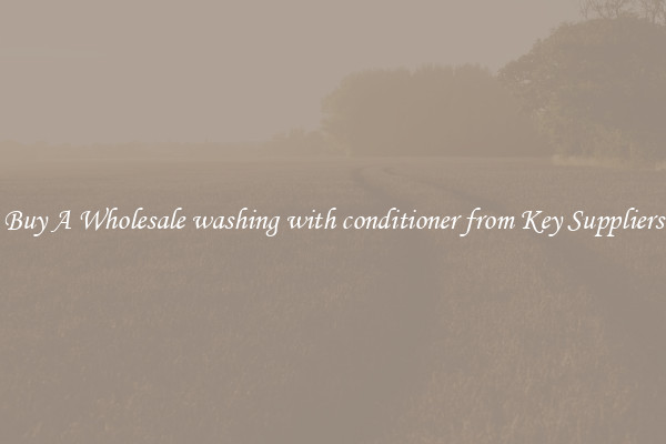 Buy A Wholesale washing with conditioner from Key Suppliers