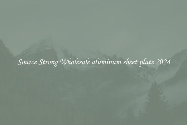 Source Strong Wholesale aluminum sheet plate 2024
