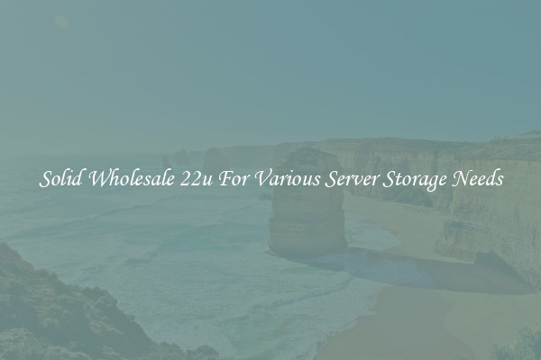 Solid Wholesale 22u For Various Server Storage Needs
