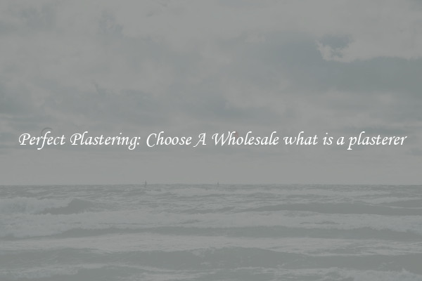  Perfect Plastering: Choose A Wholesale what is a plasterer 