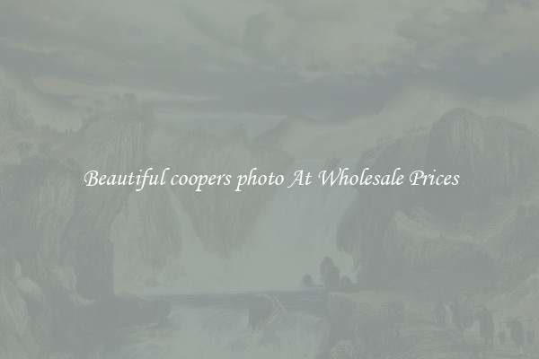 Beautiful coopers photo At Wholesale Prices