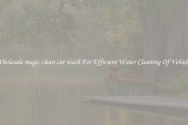 Wholesale magic clean car wash For Efficient Water Cleaning Of Vehicles