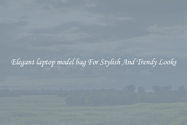 Elegant laptop model bag For Stylish And Trendy Looks