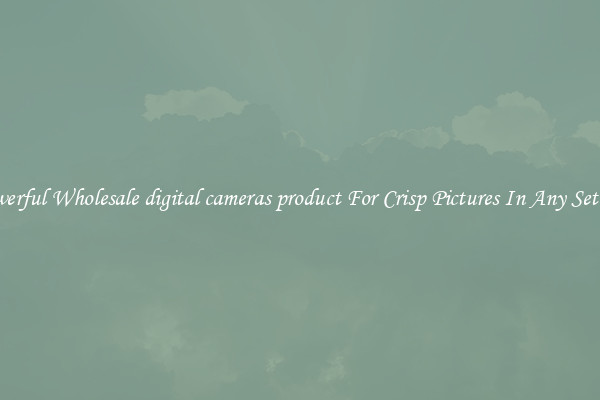 Powerful Wholesale digital cameras product For Crisp Pictures In Any Setting