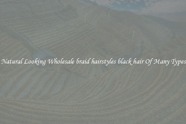 Natural Looking Wholesale braid hairstyles black hair Of Many Types
